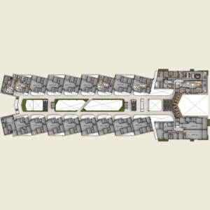 plantas-lppv1